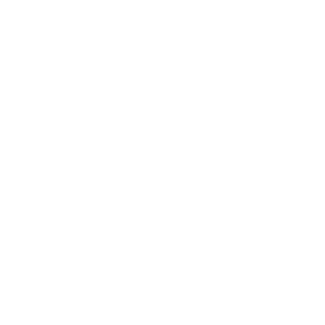 Logo icon